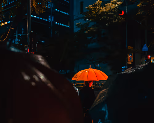 Item #96745862257255462714249523811464070259827223018211403582317496736312782225409 Media