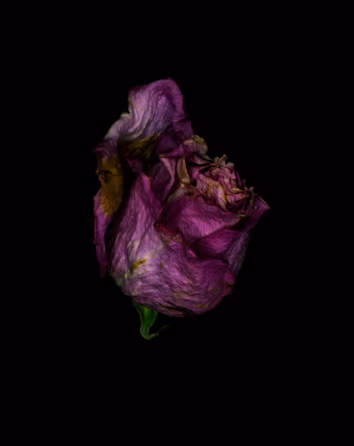 Item #78290859564487950582035157187154512379100989933844946097788898125079434493953 Media