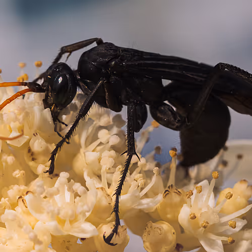 105090597216655980557633683149084672751347825439893935605656298002328166858753