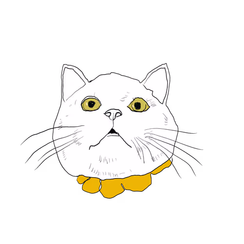 Miao!