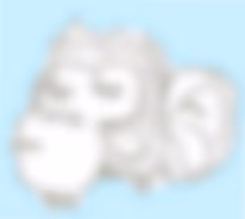 Item #26857598646286279849807724031239894599455125637177611794489910644297189818369 Media
