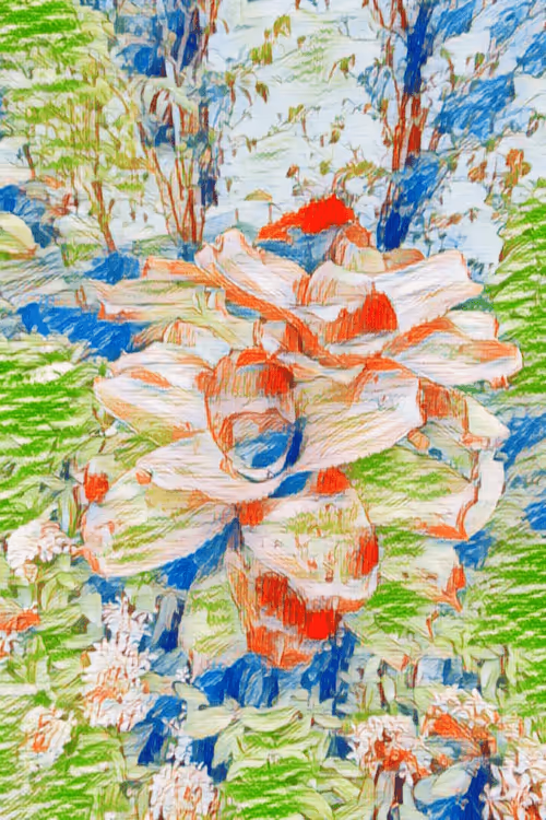 Item #69261177602478584146078213691104273677815526894191982293268527767182418903041 Media