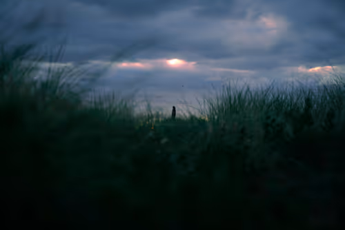 Item #74560649326607298578853393268143794665781666052470848563380919814365143629825 Media