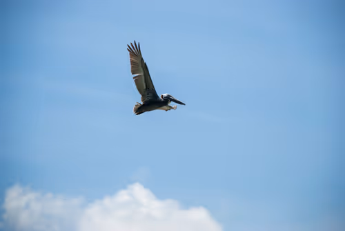 Item #59154946286010189732012368142144452370095057633127291979705499809219583410177 Media