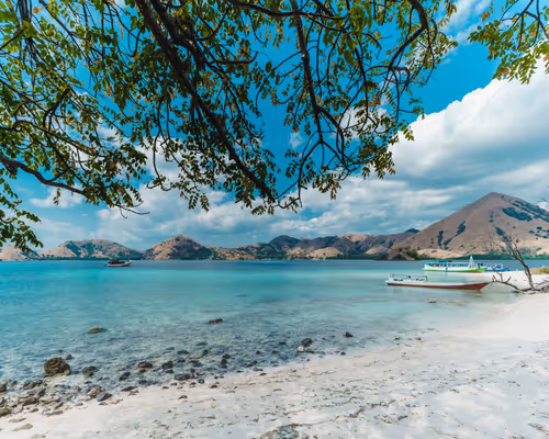 Item #36803766187647196690517014366493952358167166362150973793678746416923348566017 Media