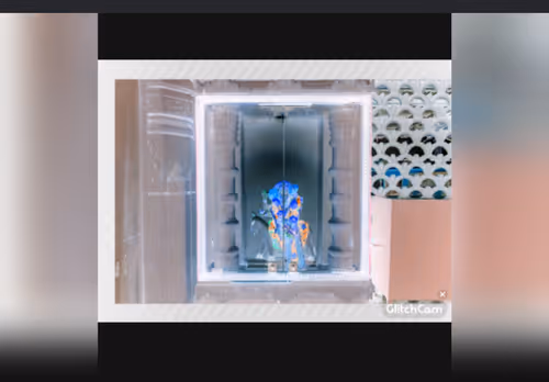 Item #30139594943823599348350082756682769269323401703463002828346351103273280208911 Media