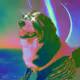 DrDoge