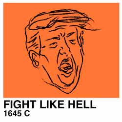 FIGHT LIKE HELL 1645 C