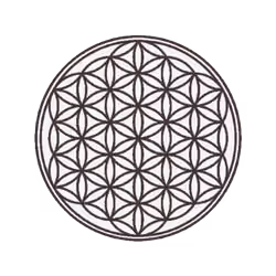 4927017782044229426331482456671357329386030981101879938860566504749119045640