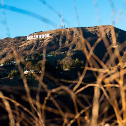 Hollywood.