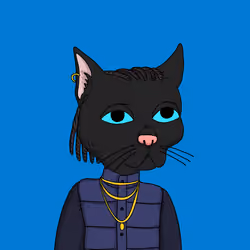 cat #47