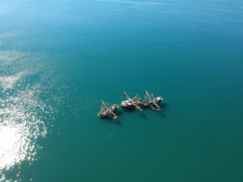 Item #80262105806551229129714372112893356952868641312806792106030804423939790471169 Media