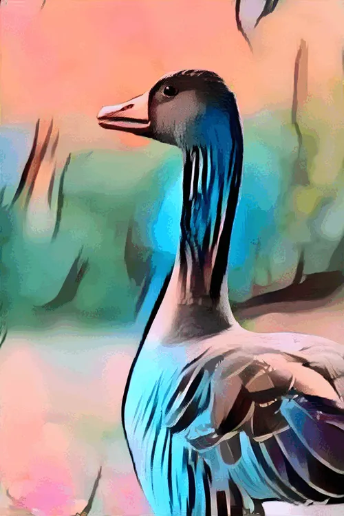 Item #1554799836079500228833107293622539328643029404359757115533642988885418967041 Media