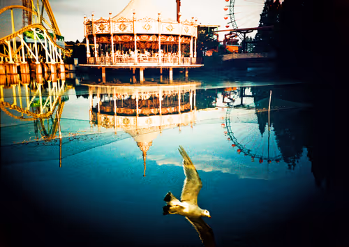 Item #42626720449793049245731240582970290857527864811431423741856946910488506138625 Media