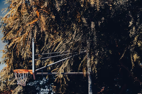 Item #102940333982406916741788290605586122935869153041698205063825610401228989136897 Media