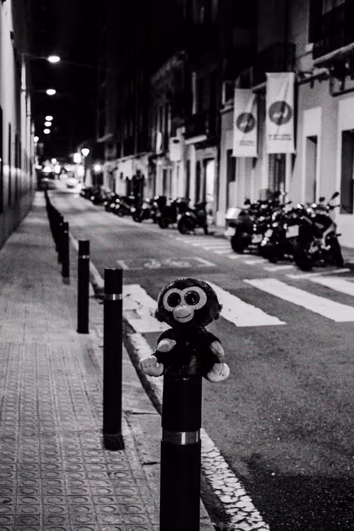 Item #78523124948883737191824425685370443041181342440538518293301156639377341808641 Media