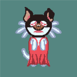 77568447387642621508695048464899208700039999360443893648901732792237243236353