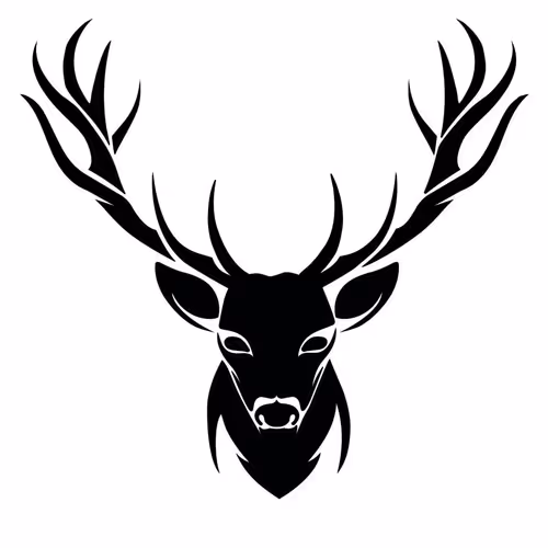 Fallow_Deer Collection