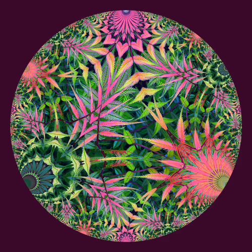 78025697421519854394745813997348957843608354579108460228935444792909599080449