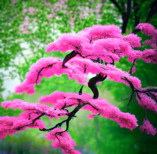 Item #6391458995874945058275903345726429858899538218186995100927943969911462690817 Media