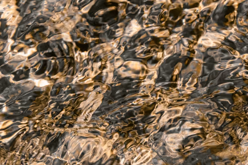 Item #81441334517361708208394031135700195474624799851237506988747108128325434867713 Media