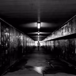 #2 Lonely Photograph