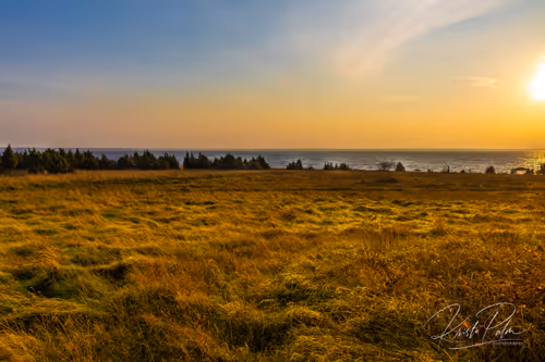 Item #75168297380136709370404646618157022904414540678160700736476761578799053668353 Media