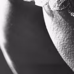 100748379412919059267110879785057129888508222288536348751201759411759967371265