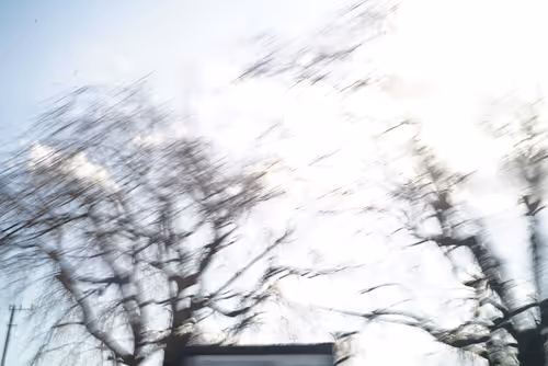 Item #70208692216166007409551313352686246739486859339551746312653787862098228805633 Media