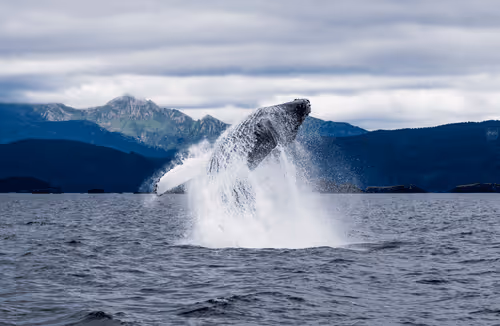 Explore the Alaska With me