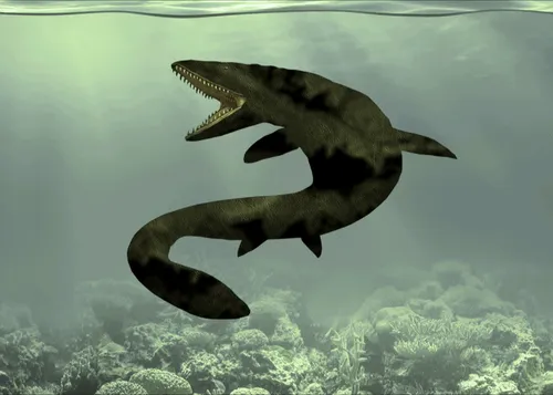 Item #22412305358539205371482020658884093096557011368869543087165207537442959130625 Media