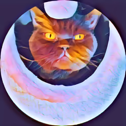 Mystic Cat round