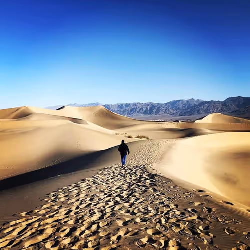 ThunderWonder Collection