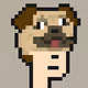 dogeface Collection