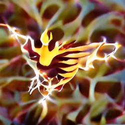 Electric Phoenix