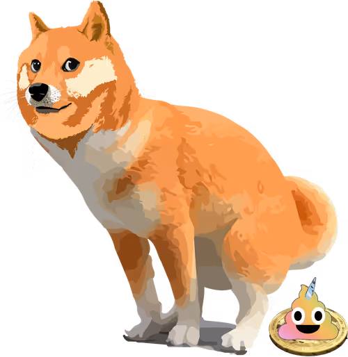 Item #33269980377874131490244929527378835168091530849876496630790005338762521870337 Media