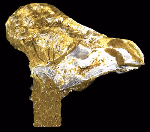 Item #18063966590187803564983313972252836895288362682890717819958697121911580655617 Media