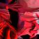 60781597655012891150621200998644873712585377154720974036154249115793061052417