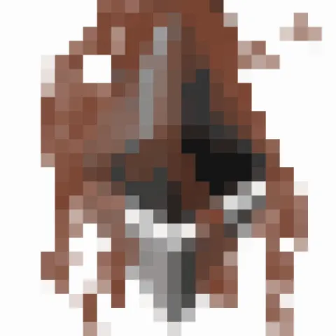 Item #88621554440333181747545893845832989674727035678153582626798903597672295301121 Media