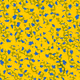 51492064331982659699360226116139462606371524456791056404447292449156430299137