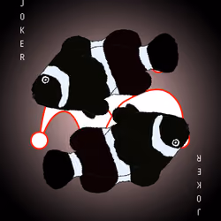 Joker 2 - Black clown fish