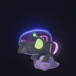 BOiDSaUR