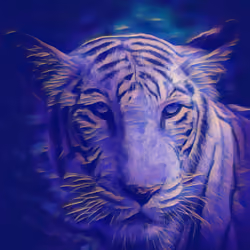 White Roar