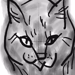 NinisCat