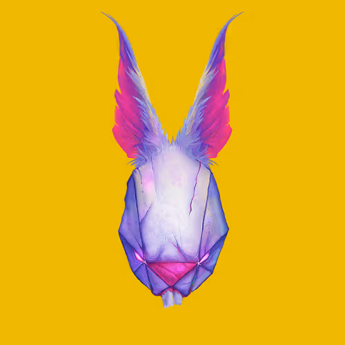 35358290868572776116337830023393001827589360070759775013474860278702455914497