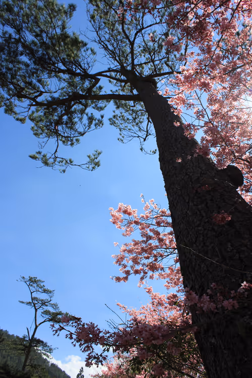 Item #88341892428238457671163359138931352612055705478125639874456303499518012293121 Media