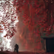 FALL IN NIRVANA