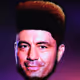 43856404980376361478798909308109096599732292169541248913860926397457035689985