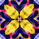 Rare Geometry: Tiles & Domes