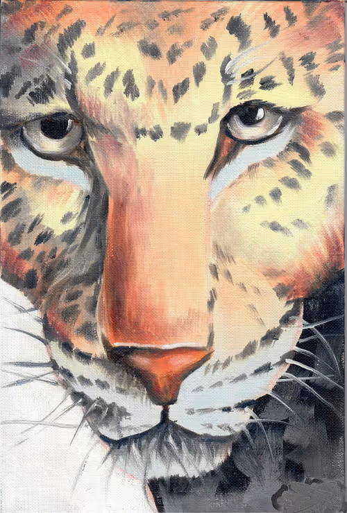 Item #13015635011678597113121360041350072937825663558357452048623911909262750646273 Media